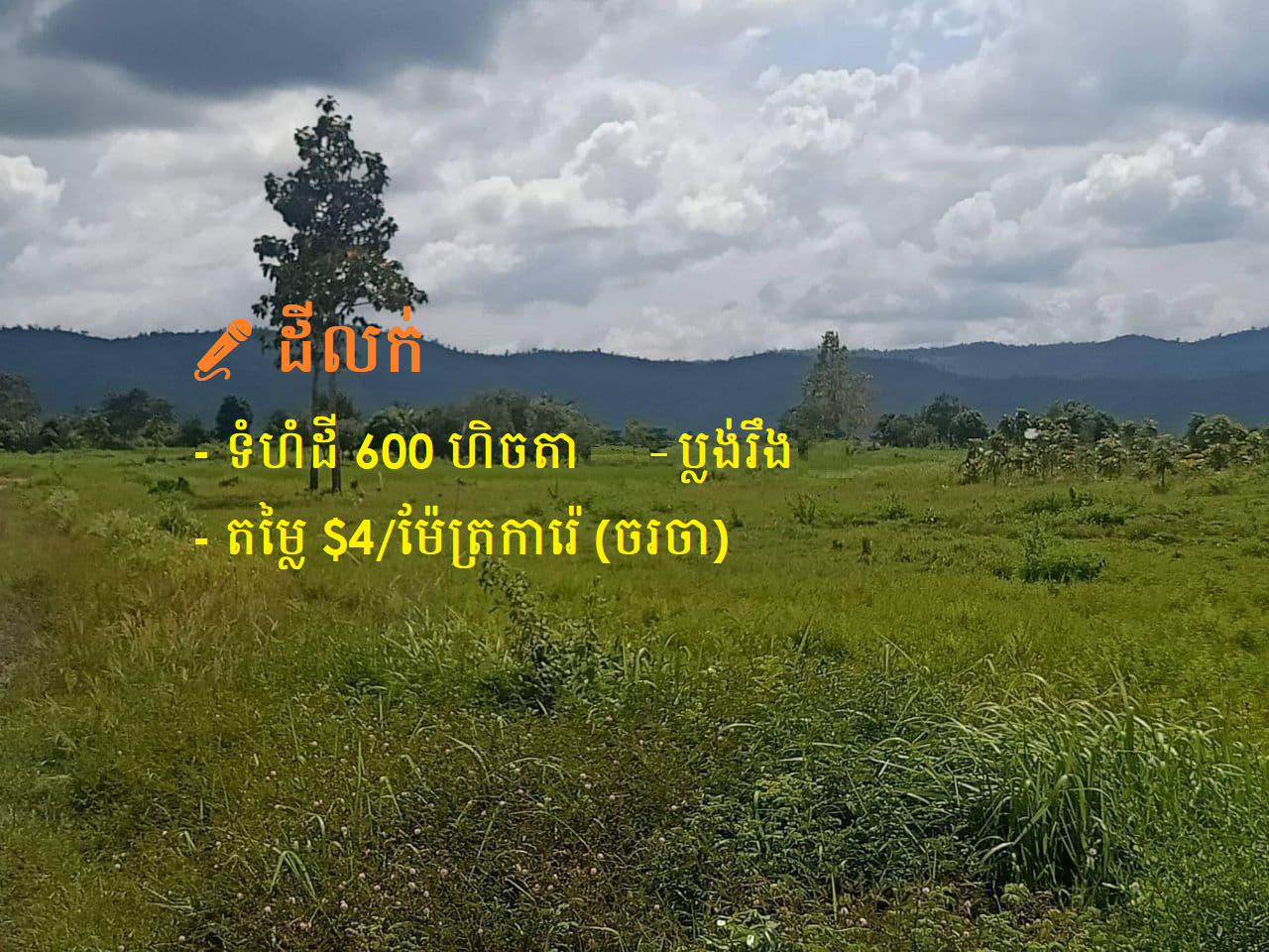 Land for Sale