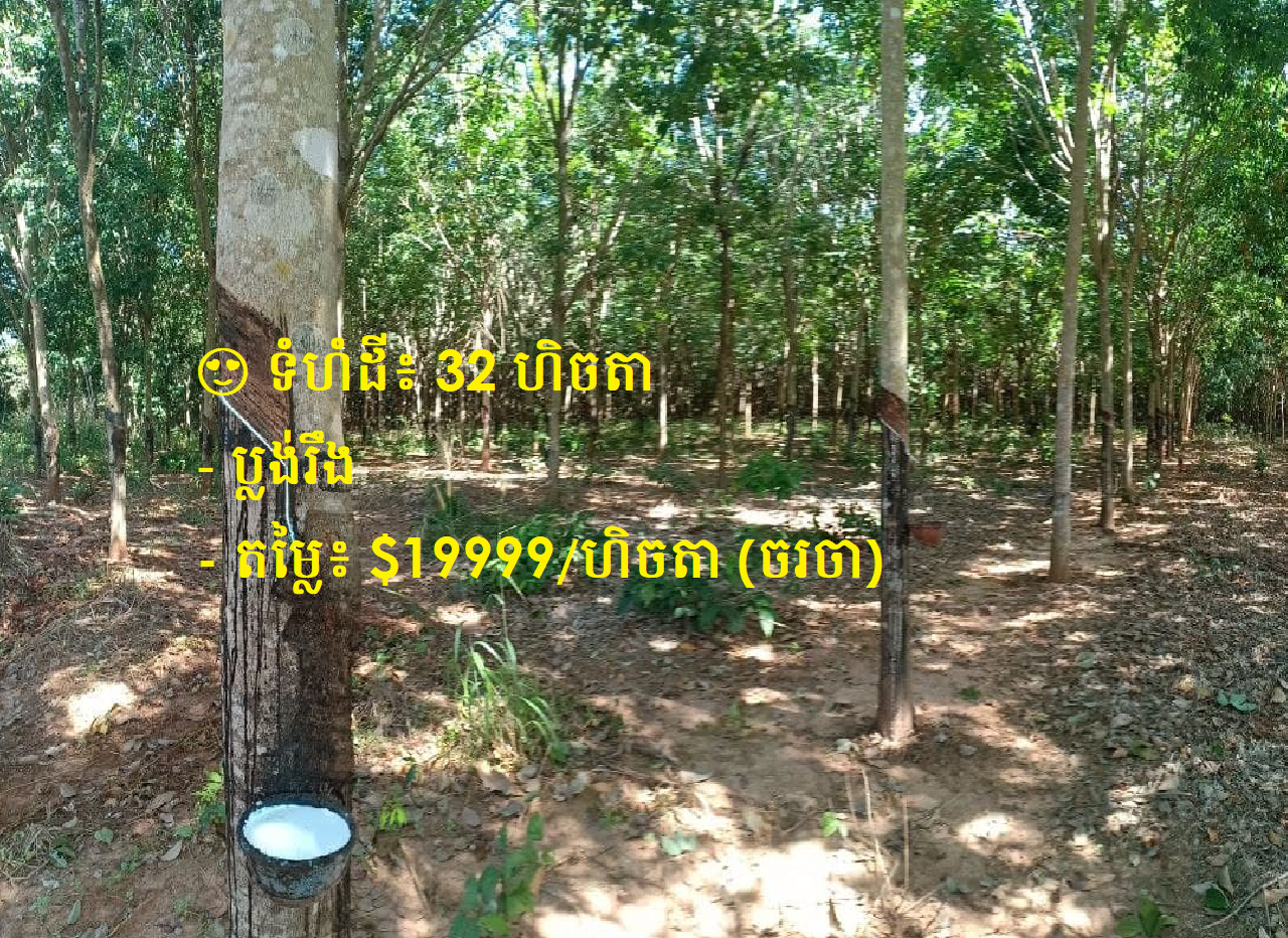 Plantation Land (Rubber) for Sale