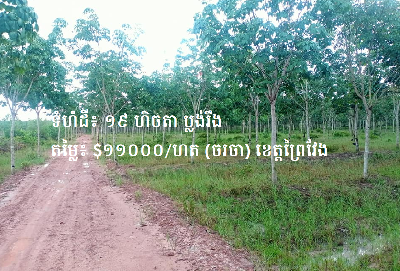 Rubber Plantation Land for Sale